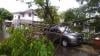 Diterpa Hujan Deras Disertai Angin Kencang, 3 Pohon Tumbang Timpa Mobil di Bandung