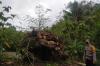 Batu Besar di Gunungkidul Longsor Tutup Jalan Desa