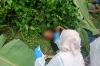Identitas Mayat Perempuan dengan Luka Tusuk Teridentifikasi, Ini Penjelasan Polres Sleman