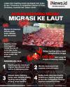 Infografis Migrasi Jutaan Kepiting Bikin Jalan Raya Jadi Lautan Merah
