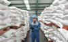 Sumsel Masuk Musim Tanam, Pusri Siapkan 11.000 Ton Pupuk Urea Bersubsidi