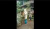 Viral Calon Kades di Jember Tutup Jalan Menuju Pesantren Gegara Kalah dalam Pemilihan 