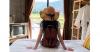 Liburan Tahun Baru, Staycation Seru Bareng Mister Aladin