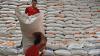 Bulog Sulutgo Salurkan 649 Ton Cadangan Beras Pemerintah Bencana Alam 