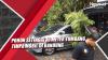 Pohon Setinggi 10 Meter Tumbang Timpa Mobil di Bandung