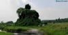 Merinding, Ditemukan Makam Keramat Ular Raksasa Tersembunyi di Atas Bangunan Candi