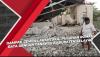 Video Dampak Gempa Larantuka, Puluhan Rumah Rata dengan Tanah di Kabupaten Selayar