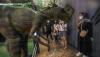 Penampakan Dinosaurus Masuk Mal, Ada T-Rex dan Raptor - Bagian 2