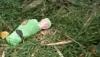 Viral, Bayi Dikerubuti Semut Tergeletak di Hutan Bambu, Netizen: Astaghfirullah