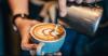Terungkap, Ini Jenis Kopi yang Paling Banyak Digunakan di Kafe Kekinian