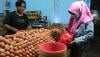 Harga Telur dan Daging Ayam di Gunungkidul Meroket