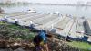 Foto Si Pitung dan Si Jampang Dikerahkan Bantu Keruk Waduk Pluit - Bagian 4