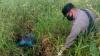Merauke Gempar Penemuan Mayat dengan Posisi Sujud di Dalam Hutan