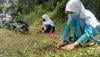 Ajarkan Anak Cinta Lingkungan, MNC Peduli Ajak Panti Asuhan di Cianjur Tanam Pohon