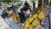 Musim Durian Kasongan Khas Kalimantan Tengah, Harga Jual Mulai Rp20.000 - Bagian 2