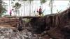 Jembatan Putus Diterjang Lahar Dingin, Warga Lumajang Bangun Akses Darurat dari Pohon Kelapa 