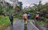  Angin Kencang Terjang Semarang, Sejumlah Rumah Rusak dan Pohon Tumbang