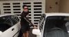 4 Artis Pria yang Mengagumi Nagita Slavina, Nomor 3 Bersedia Jika sampai Menikah