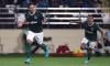 Hasil Piala Dunia Antarklub: Sikat Al Ahly, Palmeiras Berpeluang Lawan Chelsea di Final