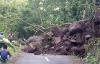 Tebing Watugajah Longsor, Tutup Akses Jalan di Gedangsari Gunungkidul