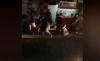 Kasus Pengeroyokan Suporter Persebaya di Lumajang, Polisi Tangkap 1 Pelaku