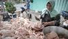 Harga Ayam Potong Naik, Pedagang di Padang Menjerit