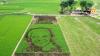 Heboh Gambar Wajah Ganjar Tersenyum di Tengah Sawah Jadi Daya Tarik Wisatawan