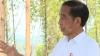 Jokowi : Biaya Pembangunan IKN Nusantara Rp466 Triliun 