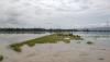 Petani Gagal Panen akibat Ratusan Hektare Padi Rusak Terendam Banjir - Bagian 2