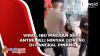 Video Viral Ibu Pingsan saat Antre Beli Minyak Goreng di Pangkal Pinang