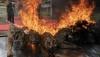 Penampakan Offset Harimau-Macan Dilindungi Dibakar BKSDA Sumsel