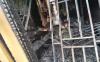 Kebelet Nikah Lagi tapi Tidak Direstui, Duda Ini Bakar Kamar dan Tewas