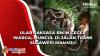 Video Ular Raksasa Bikin Geger Warga, Muncul di Jalan Trans Sulawesi Mamuju