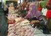 Susul Kenaikan Telur, Harga Daging Ayam di Purwakarta Meroket hingga Rp38.000 per Kg