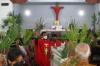 Jemaat Misa Minggu Palma di Gereja Santo Thomas Yogyakarta Masih Dibatasi  - Bagian 1