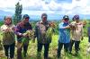 Hasil Food Estate Hortikultura Garut Siap Pasok Kebutuhan Ramadan dan Idul Fitri