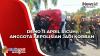 Demo 11 April Ricuh, Anggota Kepolisian jadi Korban
