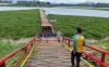 Peluang Bisnis Menggiurkan, Jembatan Apung Bermunculan di Waduk Saguling KBB