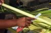 Penjualan Ketupat di Pasar Karangayu Semarang Naik Jelang Lebaran  - Bagian 3