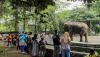 Suasana Libur Lebaran di Taman Margasatwa Ragunan - Bagian 1