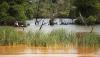 Hutan Mangrove Rusak Tercemar Limbah Tambang Pasir Ilegal di Batam - Bagian 2