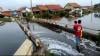 Wilayah Genangan Banjir Rob Meluas, Pesisir Pekalongan Terancam Tenggelam