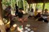 Nostalgia Waktu Kecil, Bupati Gunungkidul Sunaryanta Ikut Petani Panen Kacang
