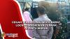Cegah Wabah PMK, Aceh Barat Lockdown Hewan Ternak di Pintu Masuk