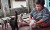Sayang Hewan, IRT di Pangkalpinang Rawat Puluhan Kucing Liar