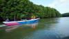 Menyusuri Teluk Balikpapan yang Dikelilingi Hutan Mangrove