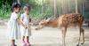 Kids Edutainment di Lido Lake Resort: Mulai Aktivitas Fisik hingga Animal Feeding, Semua Fun Habis!