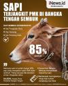 Infografis Sapi terjangkit PMK di Bangka Tengah Sembuh