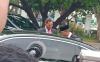 Zulkifli Hasan Tiba di Istana Negara, Ini Penampakannya