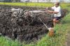 Petani di Sleman Diminta Segera Ajukan Permohonan Pembelian Biosolar dengan Jeriken